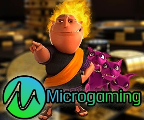 micro img